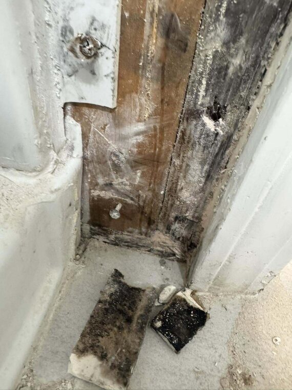 Corner of a shower with water damaged wood, dark mold like staining, and torn material on the floor