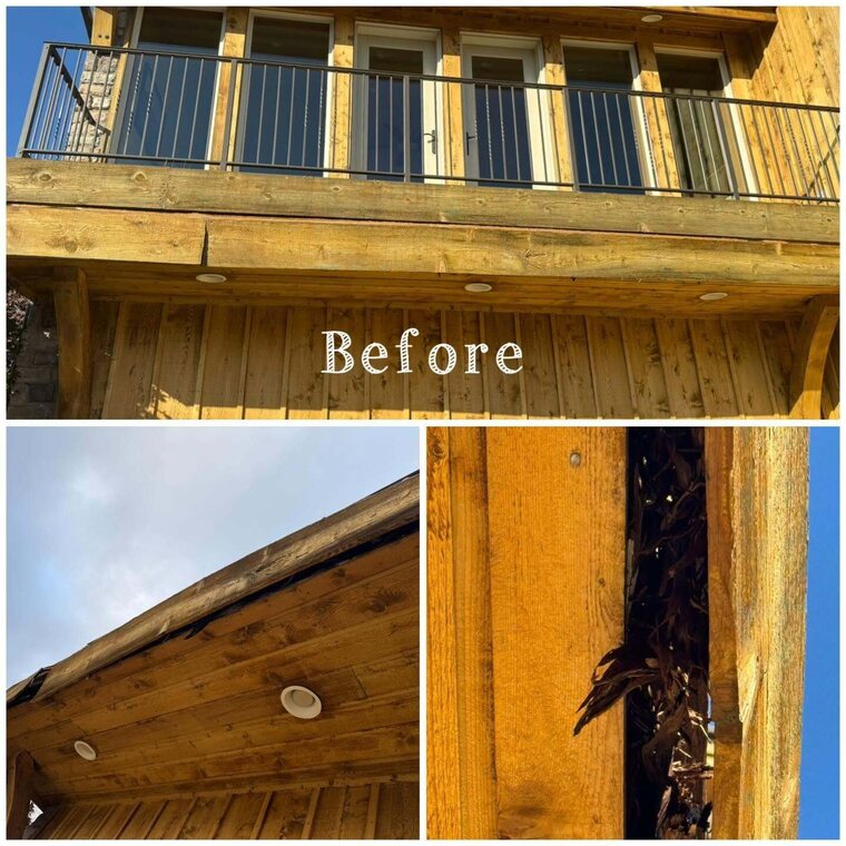 Collage of an elevated wood deck with metal railing and close ups of a damaged wood beam, labeled Before