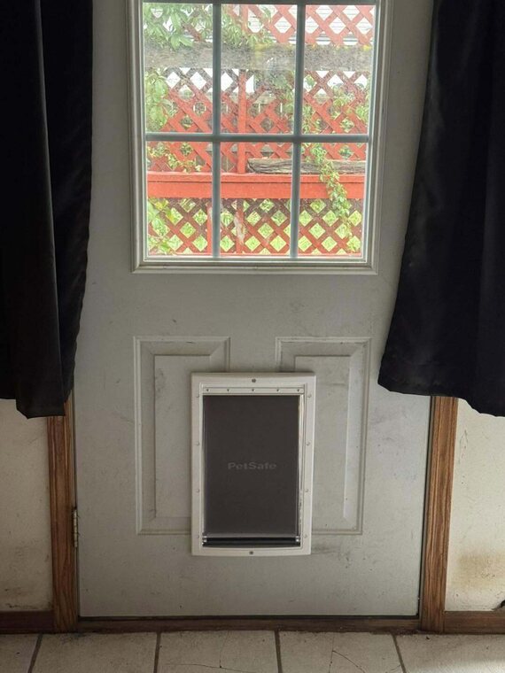 Light colored exterior door with a divided window and an installed PetSafe pet door near the bottom