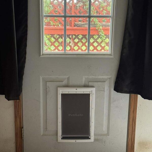 Light colored exterior door with a divided window and an installed PetSafe pet door near the bottom