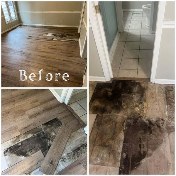 Collage of stained subfloor and pulled up plank flooring in a room and a bathroom doorway labeled Before