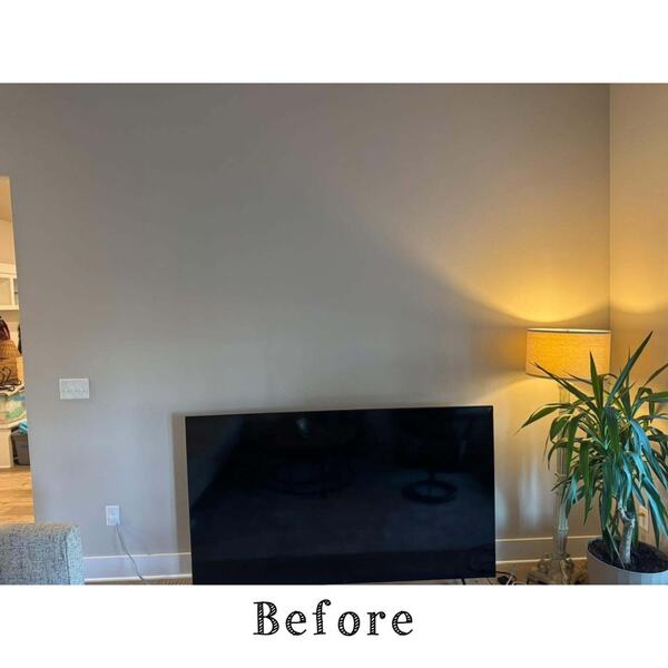 Living room with a blank wall, flat screen TV resting on the floor, lit floor lamp, and potted plant