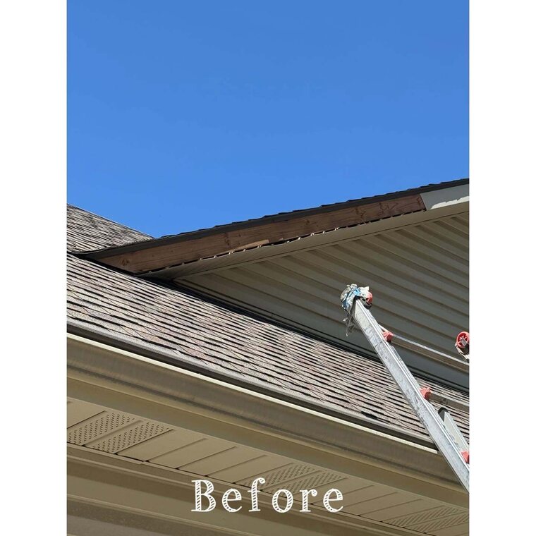 Roof eave and soffit with exposed wood fascia and a ladder leaning against the gutter