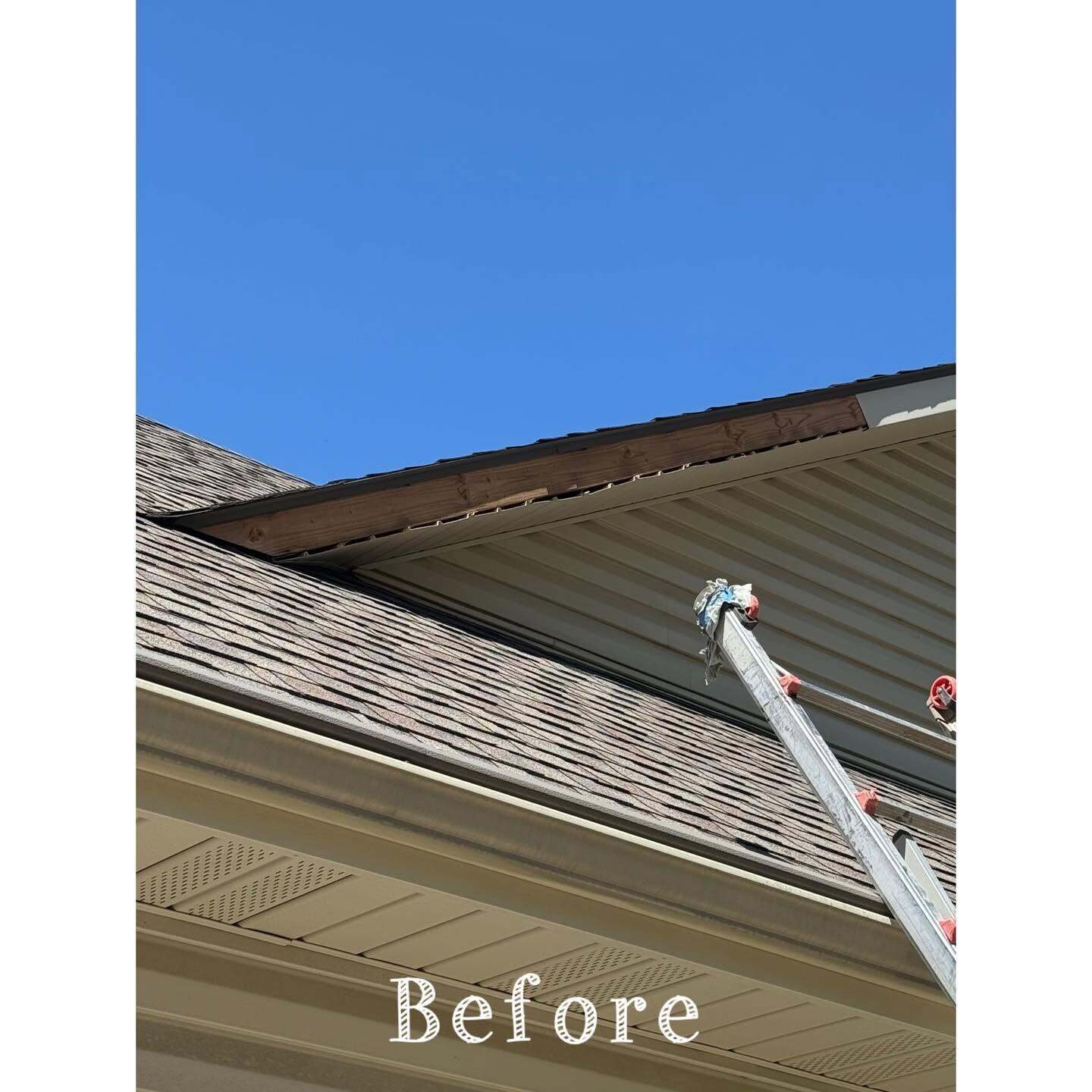 Roof eave and soffit with exposed wood fascia and a ladder leaning against the gutter